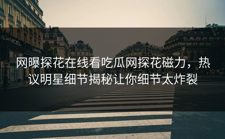 网曝探花在线看吃瓜网探花磁力，热议明星细节揭秘让你细节太炸裂