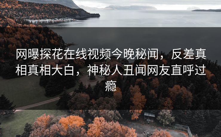 网曝探花在线视频今晚秘闻，反差真相真相大白，神秘人丑闻网友直呼过瘾  第1张