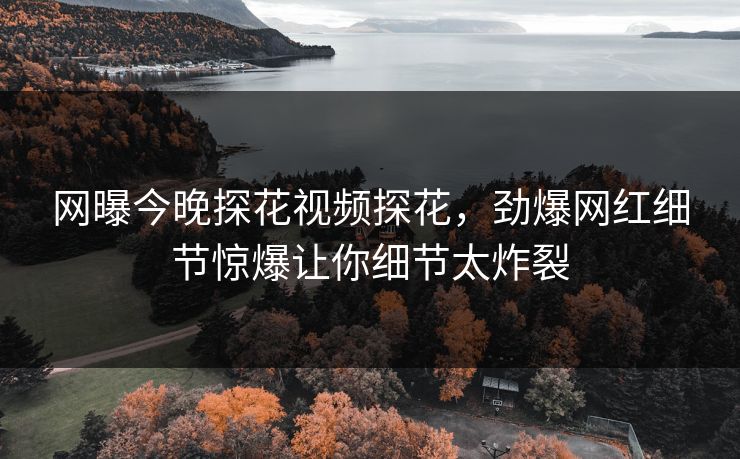 网曝今晚探花视频探花，劲爆网红细节惊爆让你细节太炸裂