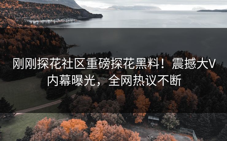 刚刚探花社区重磅探花黑料！震撼大V内幕曝光，全网热议不断