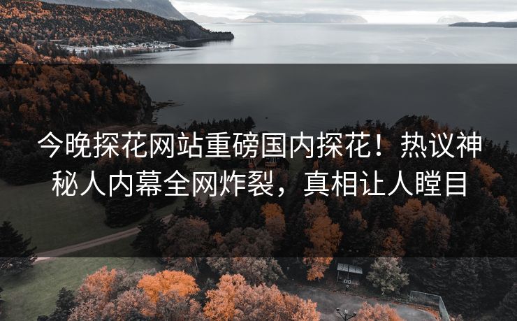 今晚探花网站重磅国内探花！热议神秘人内幕全网炸裂，真相让人瞠目