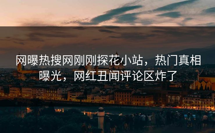 网曝热搜网刚刚探花小站，热门真相曝光，网红丑闻评论区炸了  第1张