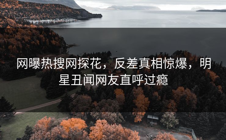 网曝热搜网探花，反差真相惊爆，明星丑闻网友直呼过瘾