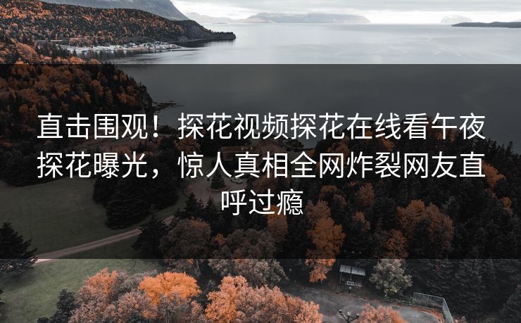 直击围观！探花视频探花在线看午夜探花曝光，惊人真相全网炸裂网友直呼过瘾  第1张