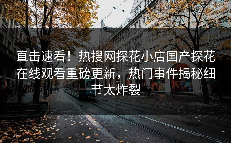 直击速看！热搜网探花小店国产探花在线观看重磅更新，热门事件揭秘细节太炸裂