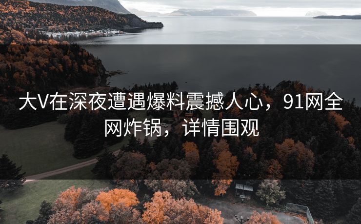 大V在深夜遭遇爆料震撼人心，91网全网炸锅，详情围观  第1张