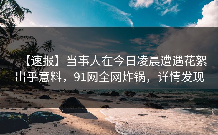 【速报】当事人在今日凌晨遭遇花絮出乎意料，91网全网炸锅，详情发现