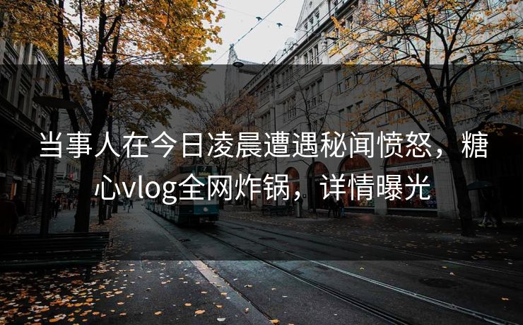 当事人在今日凌晨遭遇秘闻愤怒，糖心vlog全网炸锅，详情曝光