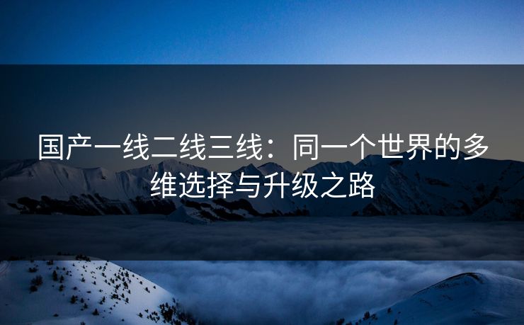 国产一线二线三线：同一个世界的多维选择与升级之路