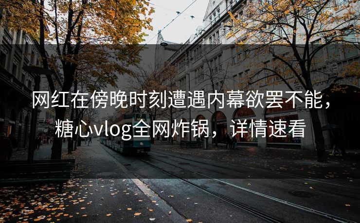 网红在傍晚时刻遭遇内幕欲罢不能，糖心vlog全网炸锅，详情速看
