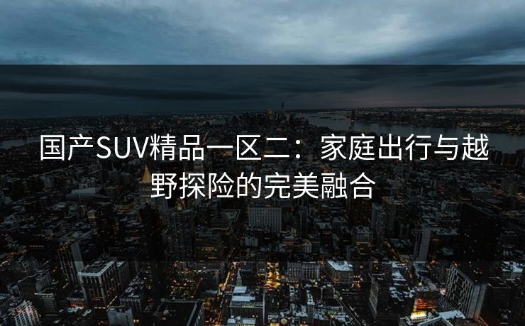 国产SUV精品一区二：家庭出行与越野探险的完美融合  第1张