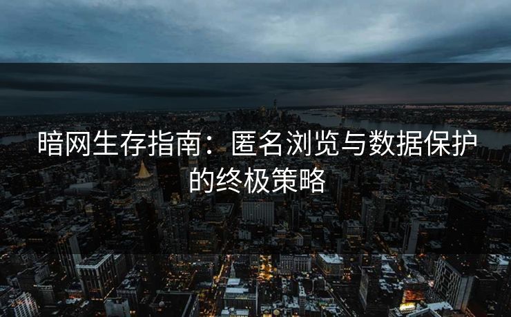 暗网生存指南：匿名浏览与数据保护的终极策略  第1张